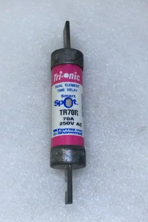 Ferraz/Shawmut TR70R 70 Amp 250V Dual Element Class RK5 Fuse - Pink Label Trusted Brand