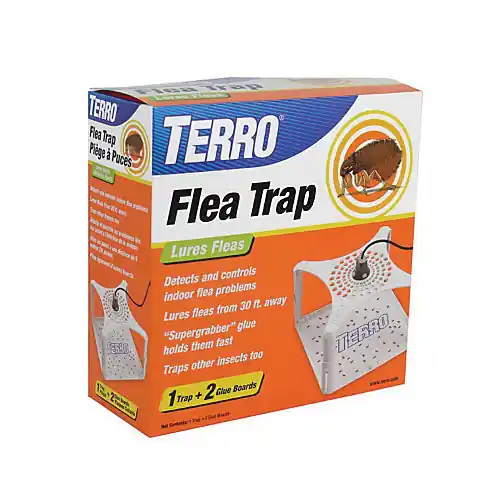 Terro T230 Flea Trap, Sweet One Day Deal