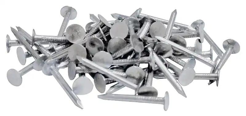 Fan Favorite NAIL ROOFING HDG 2 IN 50LB