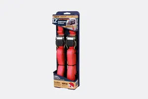 Cambuckle Tie Down Set 1" x - Cargoloc Fresh Stock